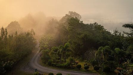 Extrémní finanční omezení